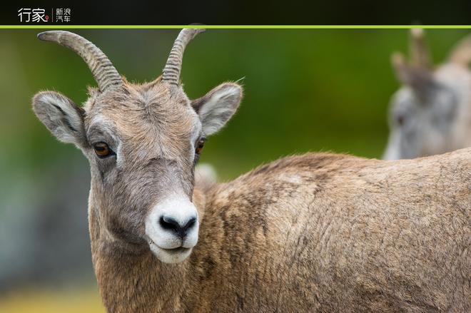 手把手教你用C牌驾照征服9.8米长大房车