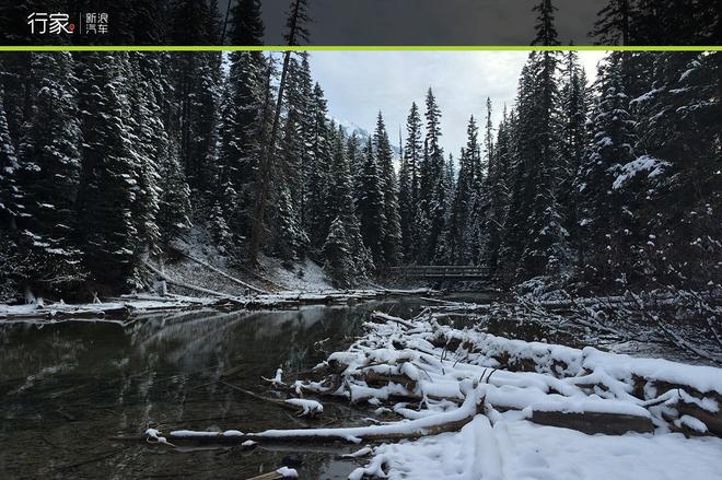 穿越落基山 加拿大“危机四伏”的自驾