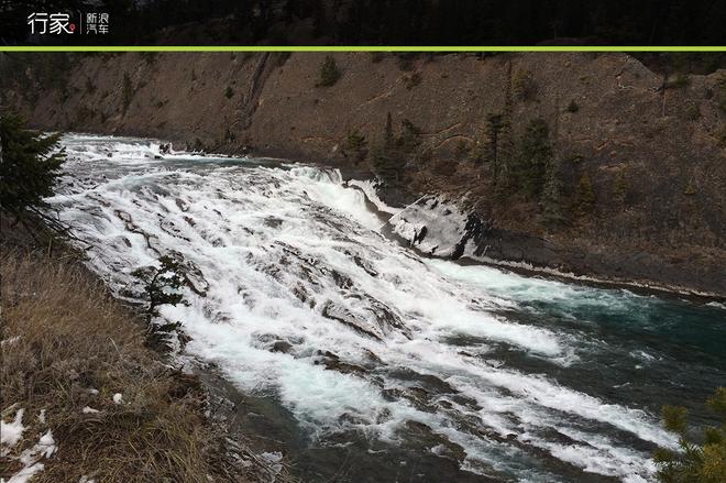 穿越落基山 加拿大“危机四伏”的自驾