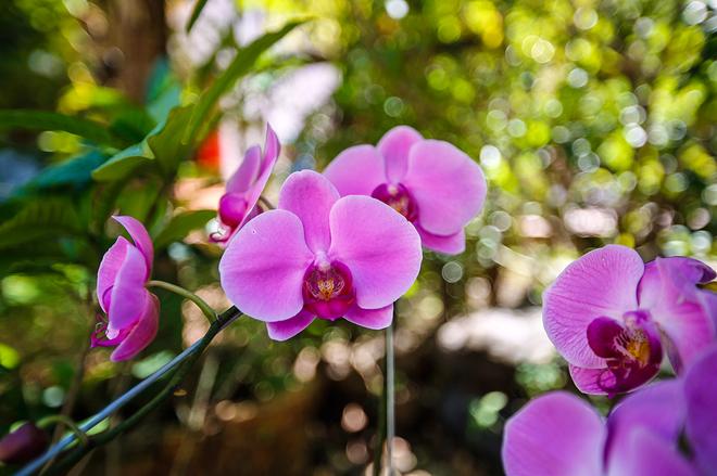 不只是大空间！试东风风光370 1.5L汽油版