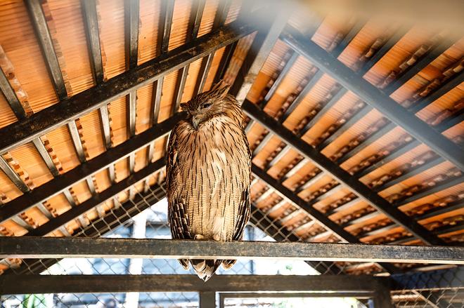 不只是大空间！试东风风光370 1.5L汽油版