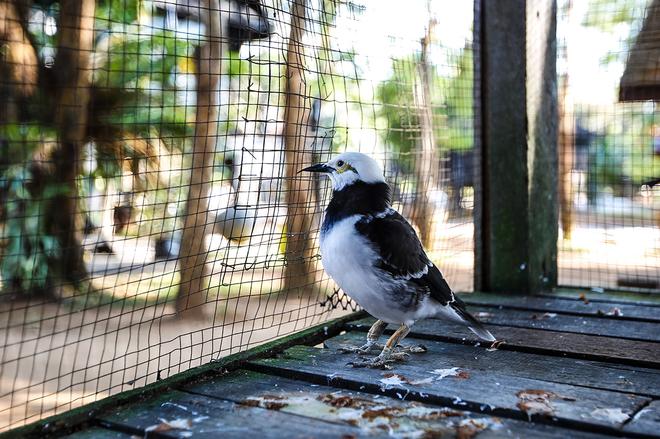 不只是大空间！试东风风光370 1.5L汽油版