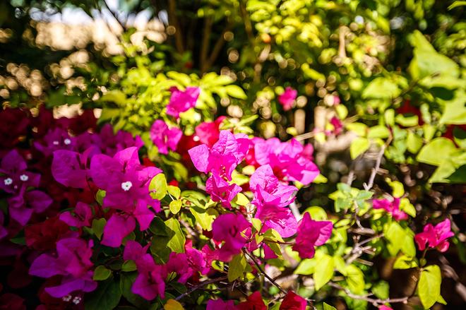 不只是大空间！试东风风光370 1.5L汽油版