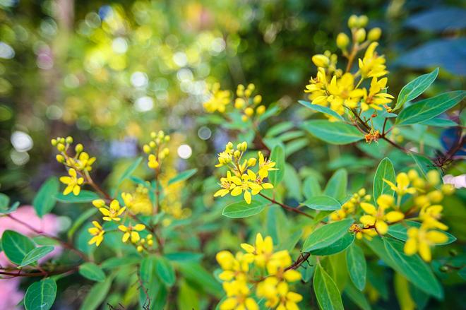 不只是大空间！试东风风光370 1.5L汽油版