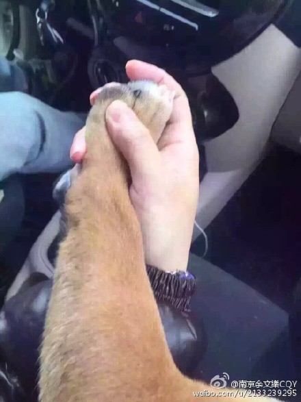 “开车慢一点”！天王秀恩爱，我给满分！