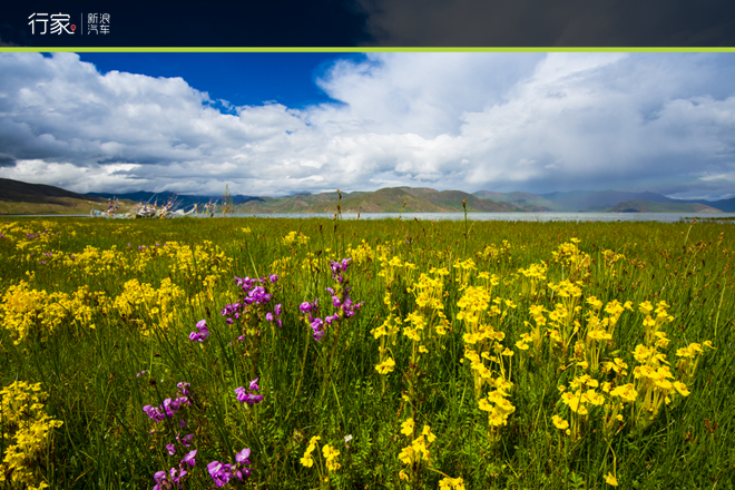 行家：穿越北纬38度神秘藏地