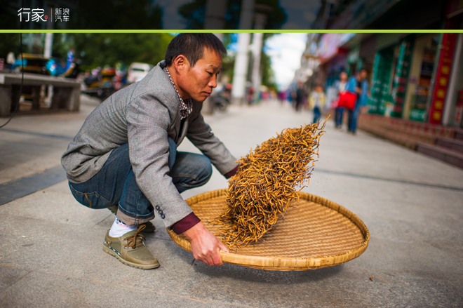 行家：穿越北纬38度神秘藏地