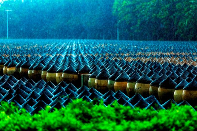 3. 第一名_''雨中酱韵''_作者佘极朴