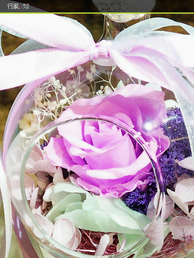 难得的清闲周末 江南古镇偶遇小黄鸭