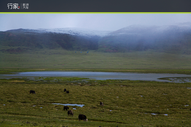 行家：玉树到底有多美 看过这些才知道