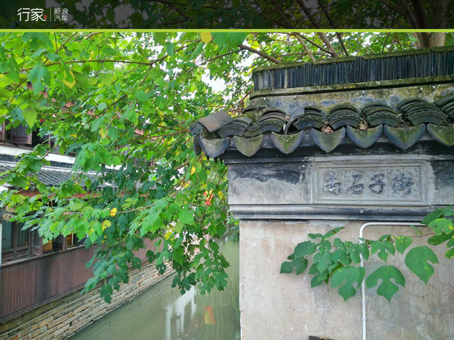 难得的清闲周末 江南古镇偶遇小黄鸭