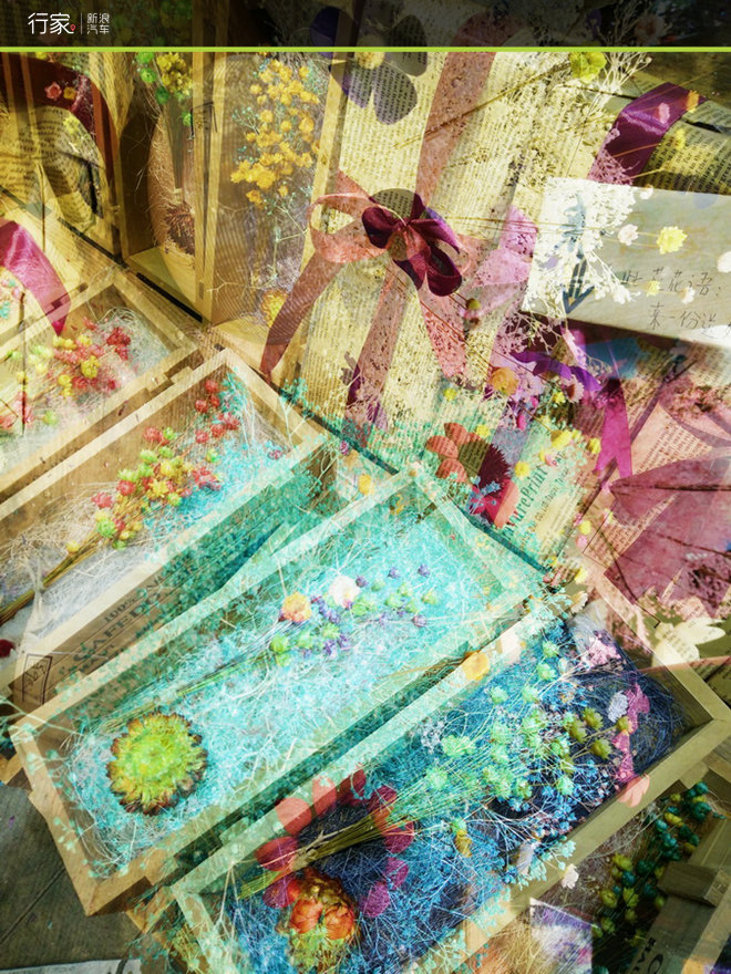 难得的清闲周末 江南古镇偶遇小黄鸭