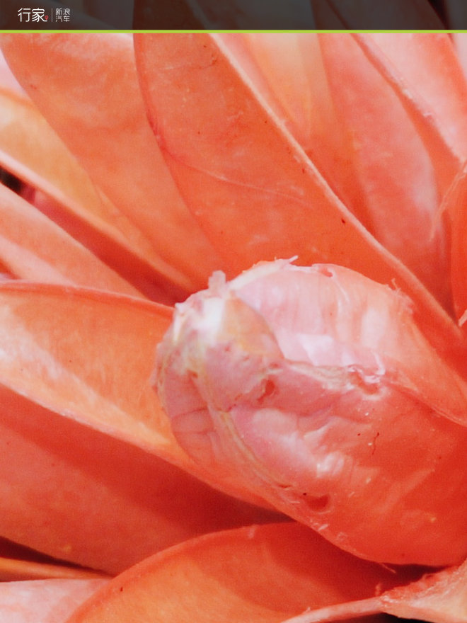 难得的清闲周末 江南古镇偶遇小黄鸭