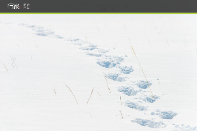 关掉ESP！到乌兰布统雪原上尽情撒欢