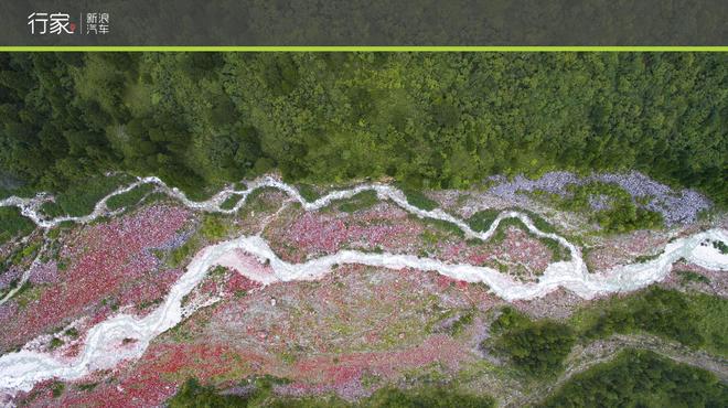 川藏线上的你 世界独一无二的景致看了么