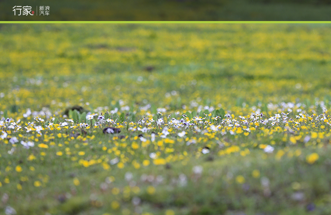 川藏线上的你 世界独一无二的景致看了么