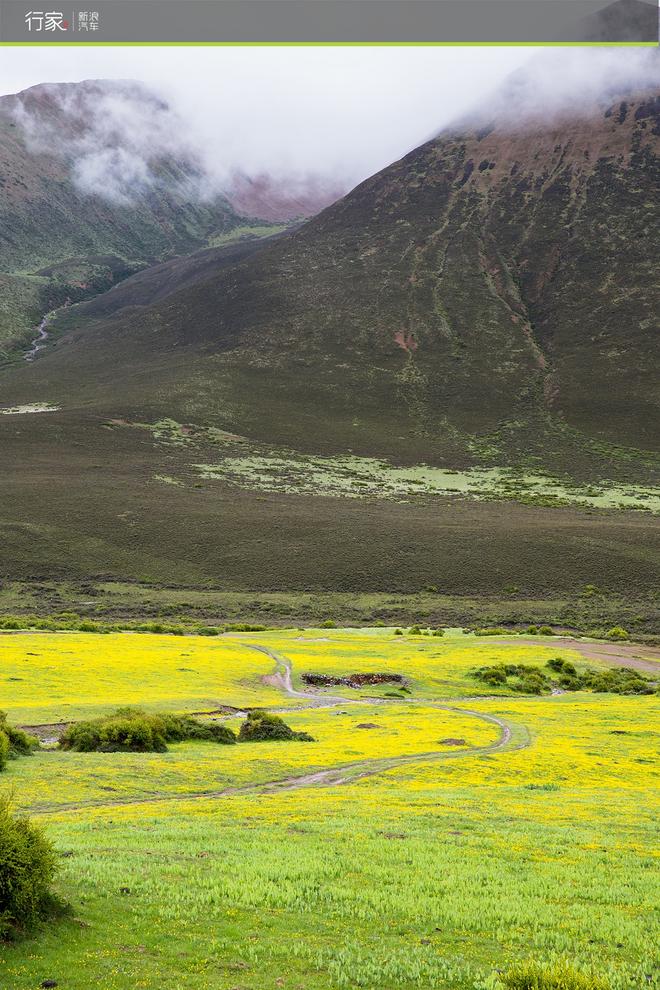 川藏线上的你 世界独一无二的景致看了么