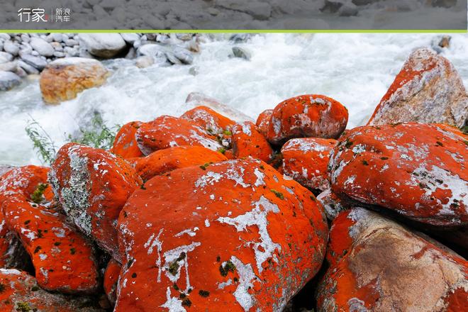 川藏线上的你 世界独一无二的景致看了么