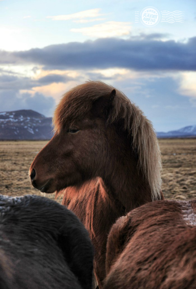 自驾|不服来辩！环冰岛自驾必须路虎卫士