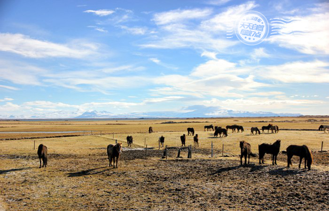自驾|不服来辩！环冰岛自驾必须路虎卫士