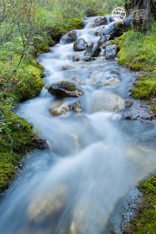 自驾|巧遇第一场雪 加拿大人品爆发风光自驾