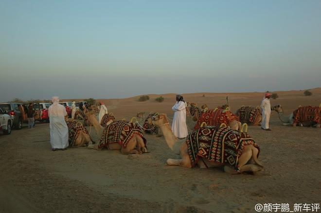黄金车都能造 真好奇中东富国人开什么车