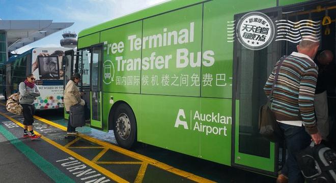 自驾|新西兰初印象 最最最浪漫的蜜月之行