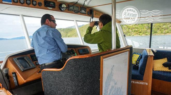 自驾|新西兰初印象 最最最浪漫的蜜月之行