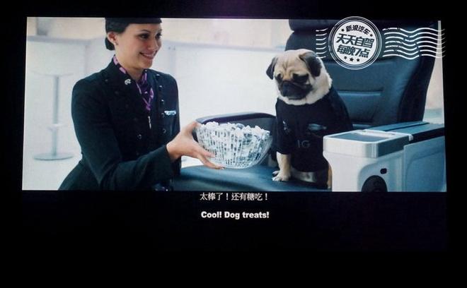 自驾|新西兰初印象 最最最浪漫的蜜月之行