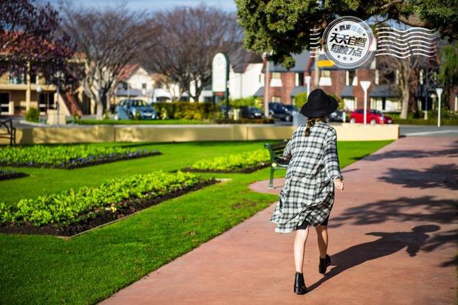 自驾|新西兰初印象 最最最浪漫的蜜月之行