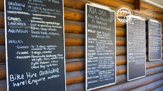 自驾|新西兰初印象 最最最浪漫的蜜月之行