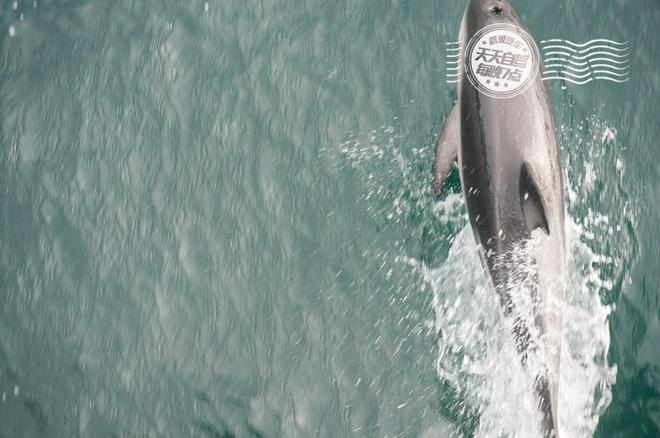 自驾|新西兰初印象 最最最浪漫的蜜月之行