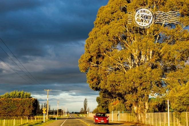 自驾|新西兰初印象 最最最浪漫的蜜月之行
