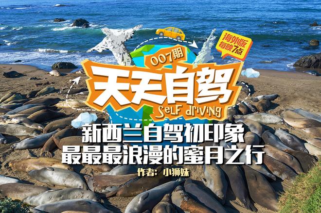 自驾|新西兰初印象 最最最浪漫的蜜月之行