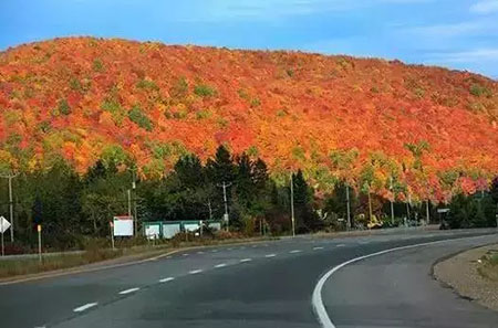 你的驾照可在阿联酋用了