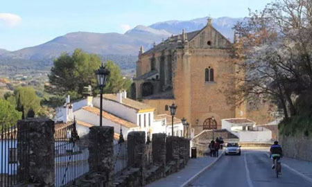 你的驾照可在阿联酋用了