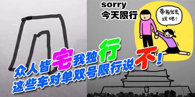 众人皆宅我独行.这些车对单双号限行说不