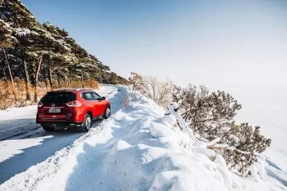 勇闯林海雪原，续写“奇”迹本色