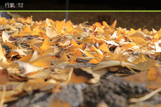 花10天行3000公里也值得！大美七彩云南