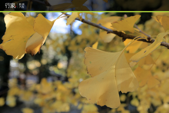 花10天行3000公里也值得！大美七彩云南