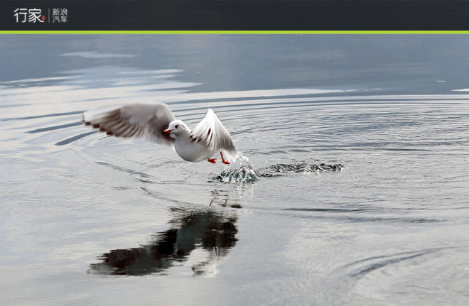 花10天行3000公里也值得！大美七彩云南