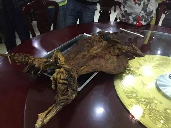 乌兰布统这么玩才够味！