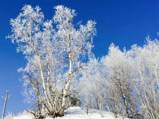 乌兰布统这么玩才够味！