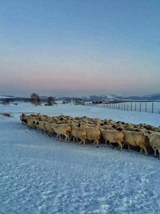 乌兰布统这么玩才够味！