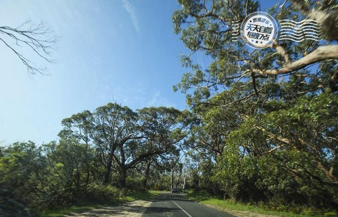 自驾|单身汪别点 娶好媳妇胜过一百个自驾！