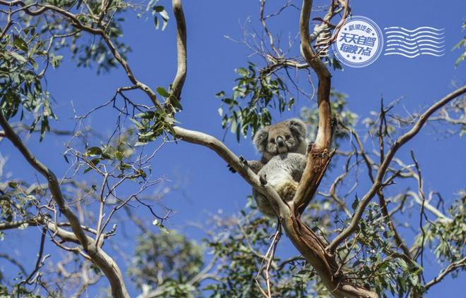 自驾|单身汪别点 娶好媳妇胜过一百个自驾！