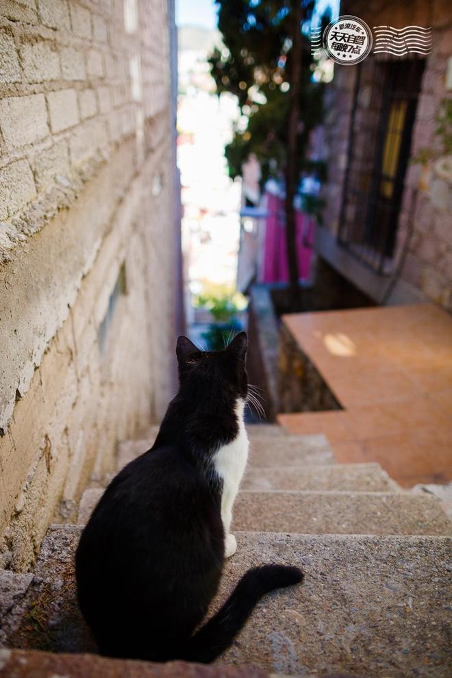 自驾|五光十色墨西哥 捡妹子约基友游金字塔