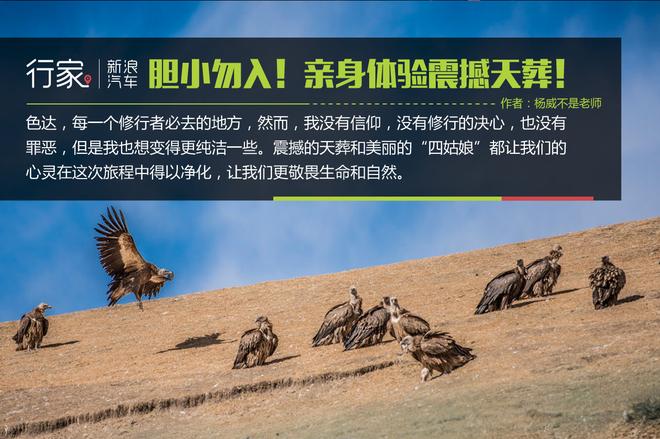 胆小勿入在修行圣地亲身体验震撼天葬