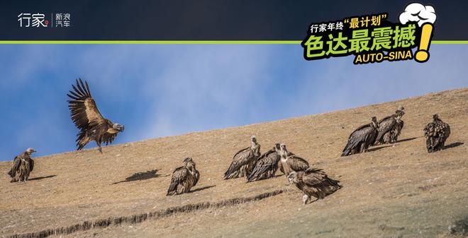 行家年终“最计划” 为你串起最美的地方