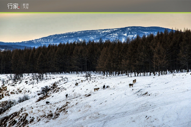 行家|银冬内蒙古 摄影师眼中的冰雪童话